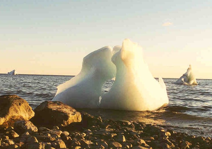 Iceberg